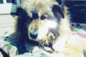 Photo of O'Reilly