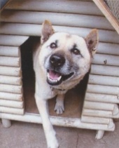 Photo of Ebisu