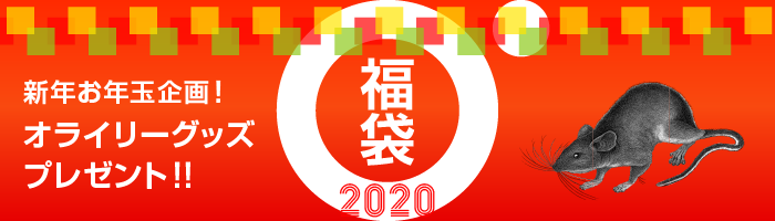 fortune-bag-2020